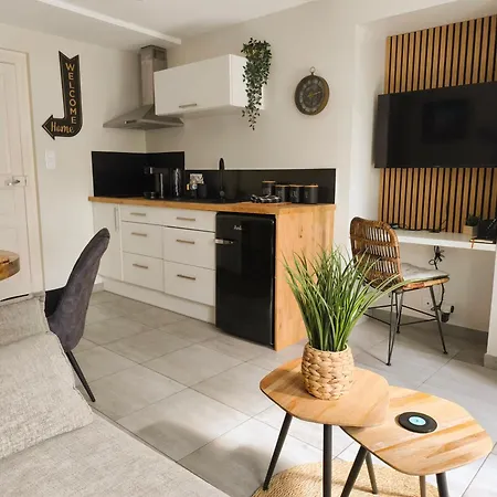 Le P'tivoli - Maison Centre Historique 度假居 *