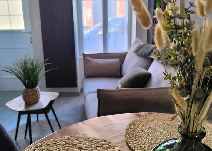 Le P'tivoli - Maison Centre Historique 度假居 *